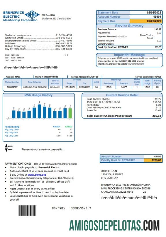 realista Modelo de conta de serviços públicos de eletricidade da Carolina do Norte dos EUA Brunswick em formato Word e PDF